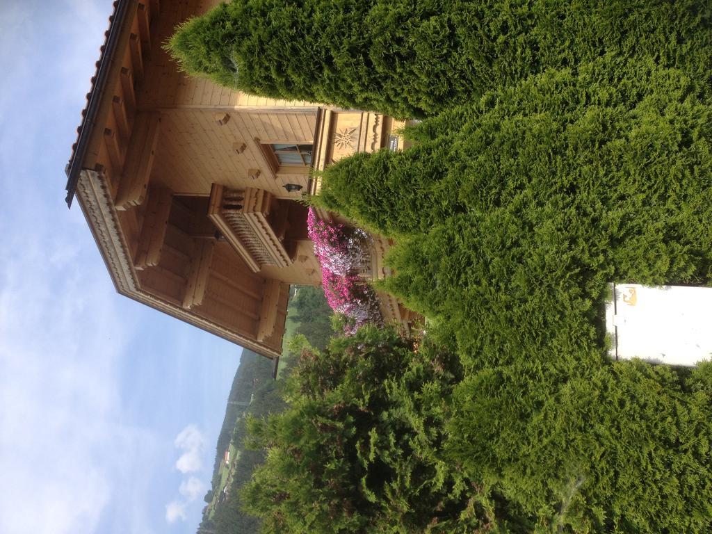 Appartement Edelweiss